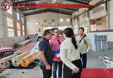 ShenYu Resin Roof Tiles: Redefining Quality, Innovation, and Global Roofing Trends